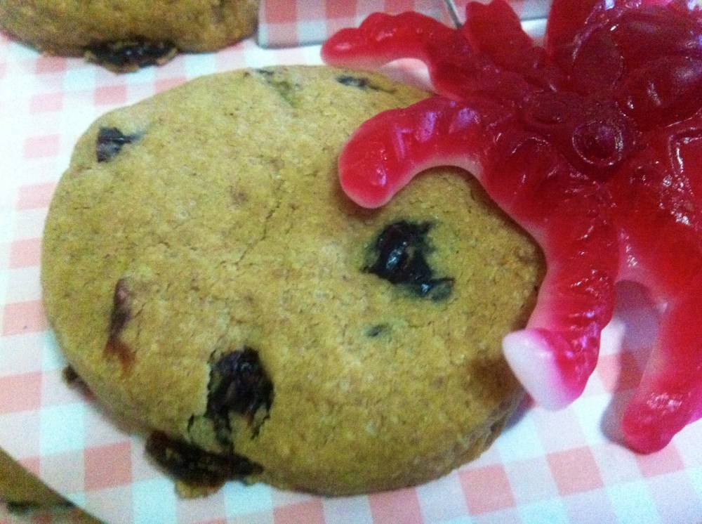 Galletas de arandanos1 Galletas de arandanos1