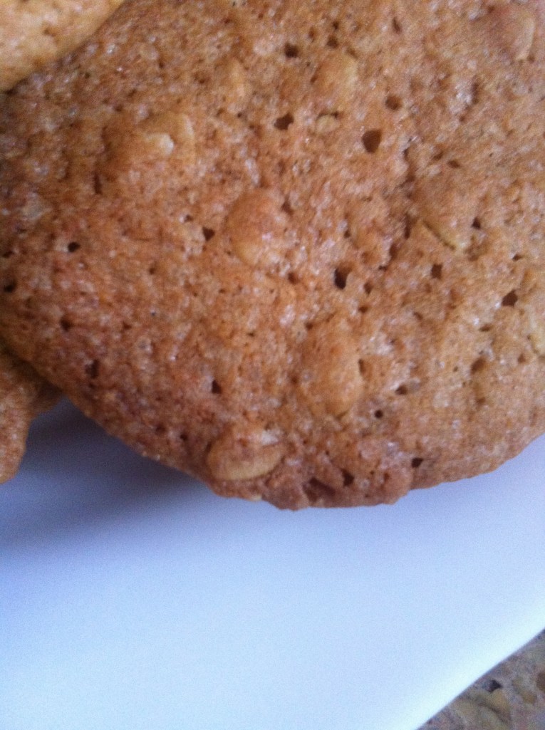 cookies de coco & avena1