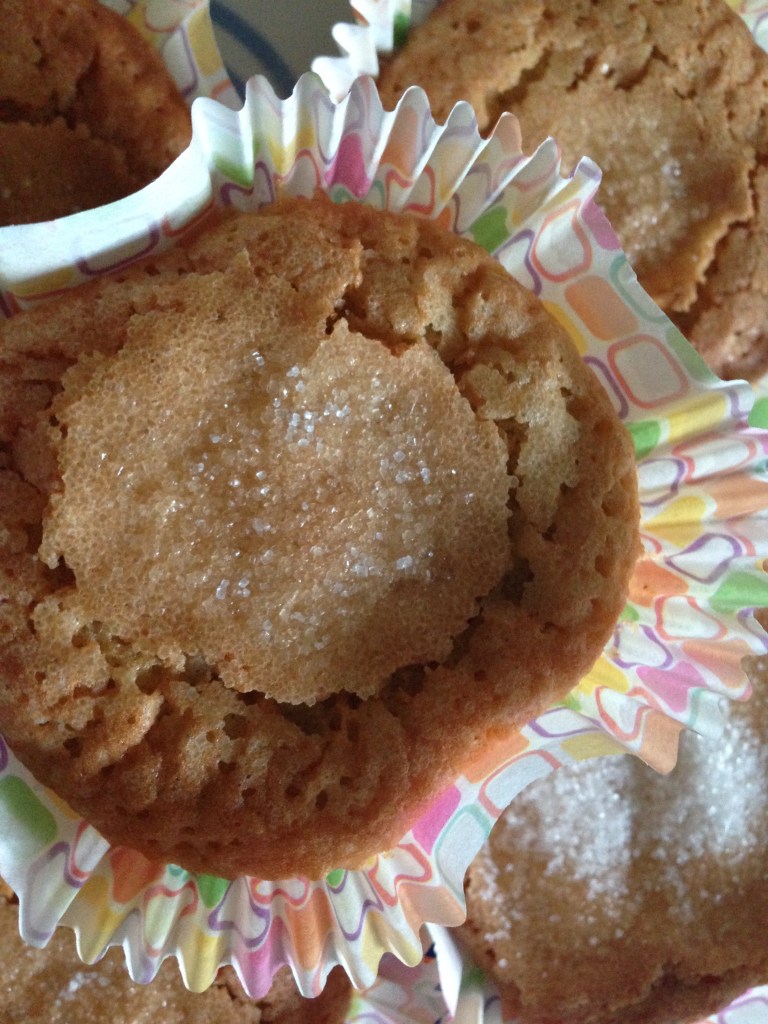 mantecados de astorga1